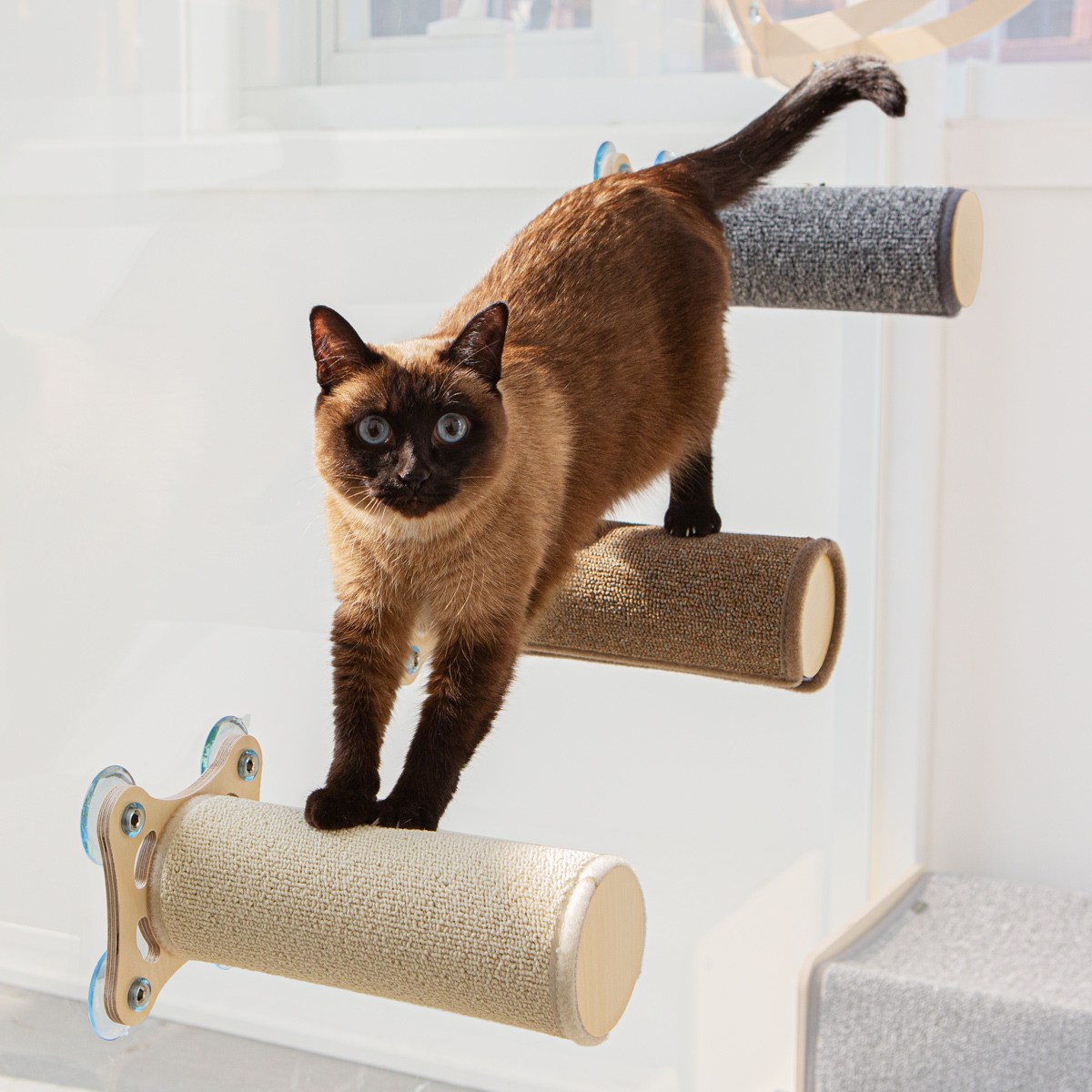 ����Ȩ���� ��� ��ڷ� ���� �̴� Ĺ��Ŀ GO23010