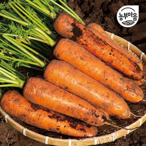 농부마음 제주 구좌 흙당근 5kg 중품_이미지