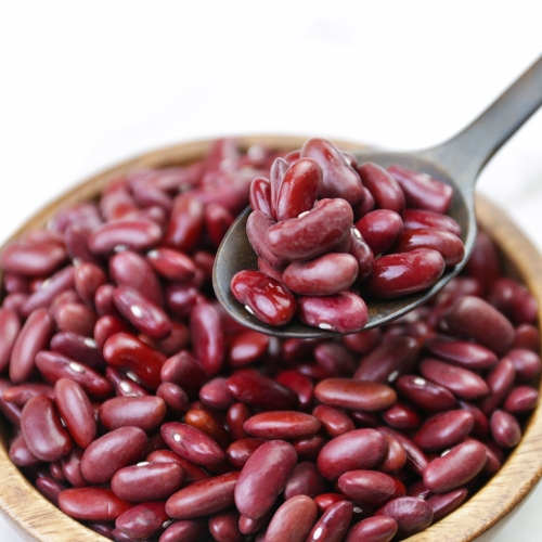 힘찬농부오달봉 수입 홍대 강낭콩 양대 적강낭콩 2kg