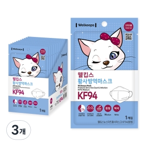 ��ŵ�� Ȳ��濪����ũ KF94 ���� ��� 3�� 25����