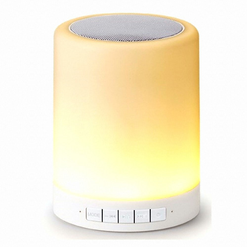 Actto ���� ��ġ���� BTS-01