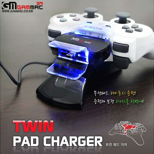 �湮�������θ�Ʈ �׸� Ʈ�� �е� ���� (TWIN PAD CHARGER)
