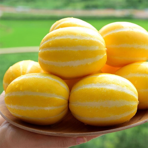 �ڿ����� ���ִ� �������� ������ ȥ�հ� 5kg