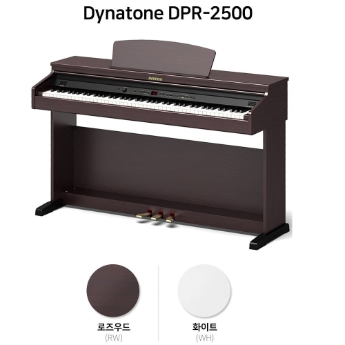 다이나톤 DPR-2500 (일반)