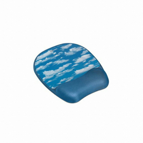 ��ο��� �޸��� ���콺�е�