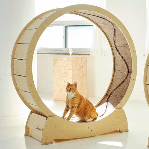 집사의반격 스타캣휠 물고기 1200 (+내부카페트)