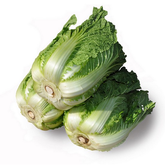 코레마을 고랭지 배추 최상품 1.8kg (1개)_이미지