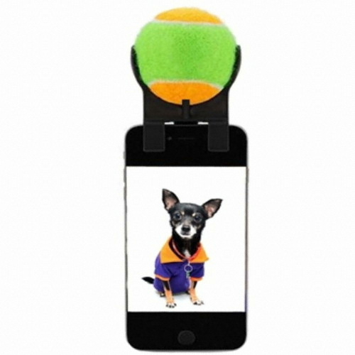 재미월드 ㅤ반려동물 촬영보조기_이미지