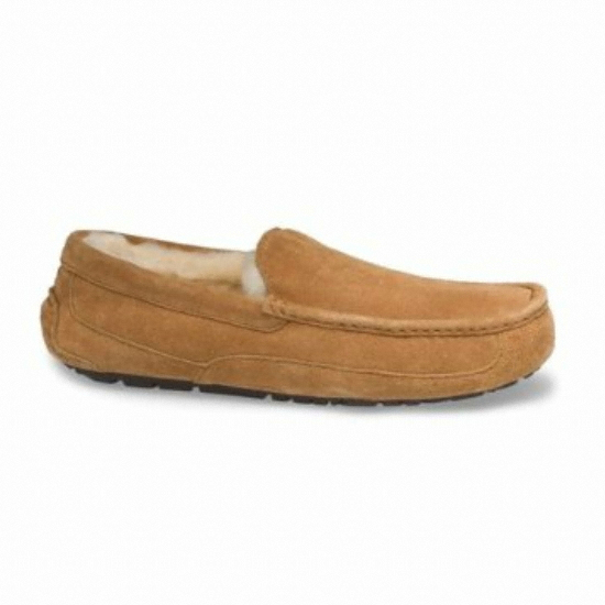 UGG Mens Ascot_이미지