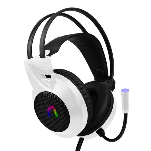 ���� N460 ���� 7.1 ENC �ʰ淮 RGB ���̹� ����