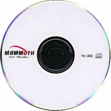 ���� ���� 700MB 32x ��ũ 100��
