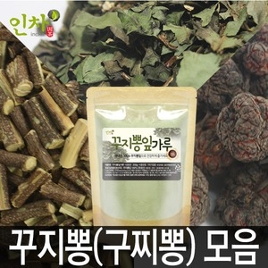  인차 국내산 꾸지뽕 구찌뽕 나무 열매 잎 가지 가루