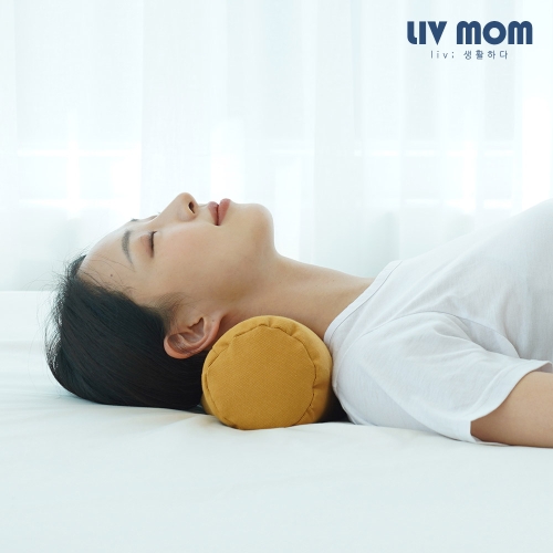  리브맘 안녕거북이 경추베개