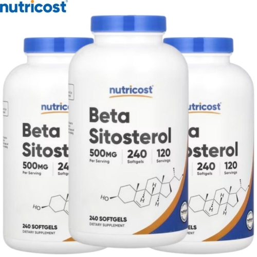 ��Ʈ���ڽ�Ʈ ��Ÿ ���佺�׷� 500mg 240ĸ��