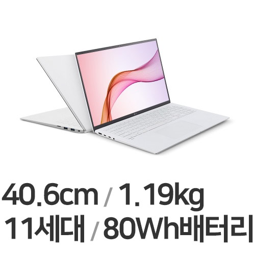 LG전자 2021 그램16 16ZD90P-GX56K (SSD 120GB + SSD 256GB)