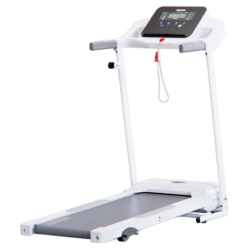 ��Ų������ ���Ƿ� Ʈ�����