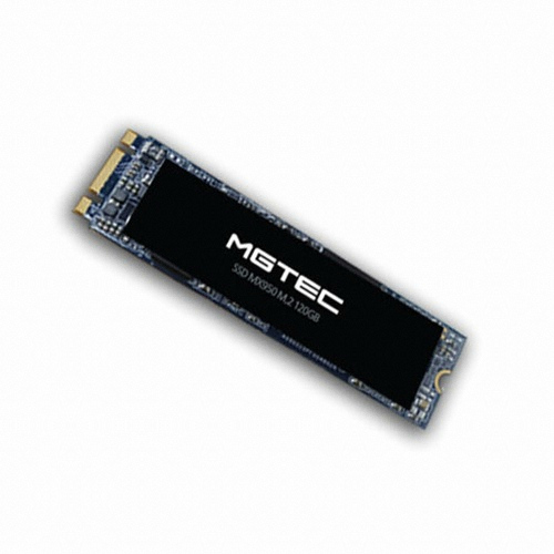엠지텍 MX950 M.2 (240GB)
