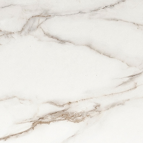 �ѻ� ���� 503 ��ư� �뼼��� ���� ��Ź 1350