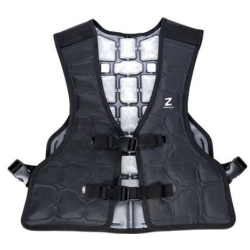 ���� ��ī ���̽����� PCM