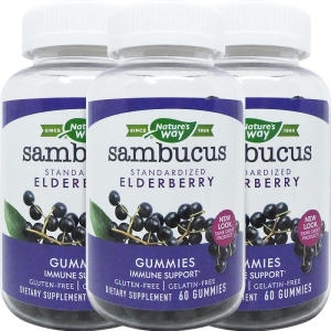 네이쳐스웨이 삼부커스 엘더베리 60구미 (3개)