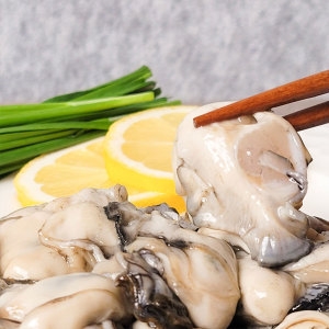 덕이네 통영 생굴 1kg (1개)_이미지