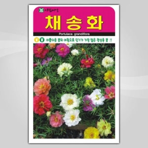 화분월드 화분월드 채송화 씨앗  5000립