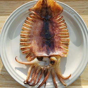 자연맛남 촉촉 반건조오징어 10미 900g (1개)_이미지