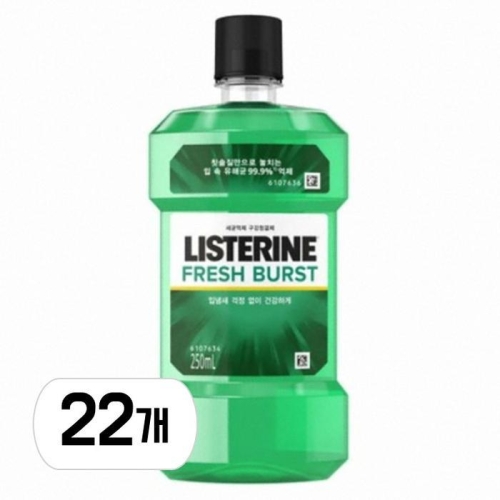 리스테린 후레쉬 버스트 250ml (22개)_이미지