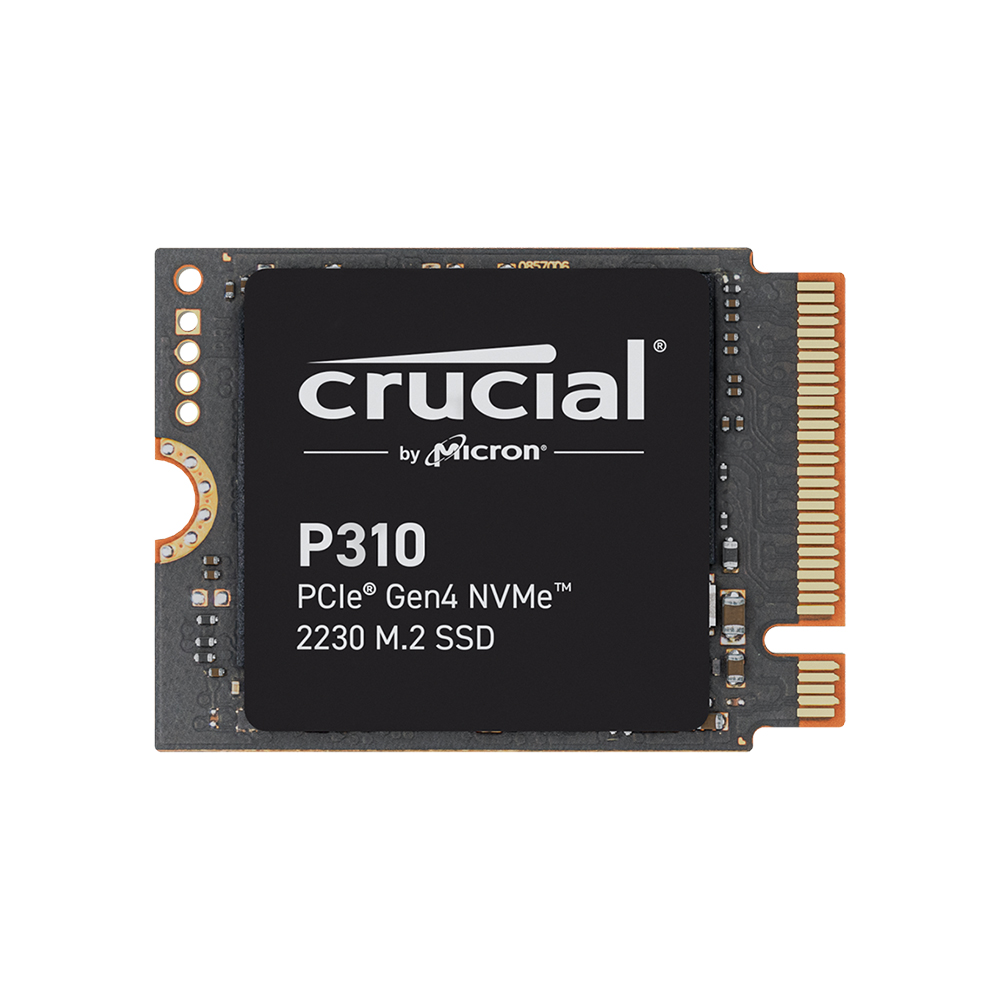 마이크론 Crucial P310 M.2 2230 NVMe 대원씨티에스 (1TB)_이미지