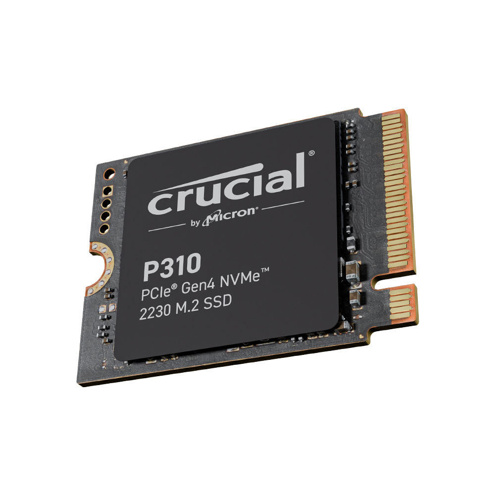 마이크론 Crucial P310 M.2 2230 NVMe 대원씨티에스 (1TB)_이미지