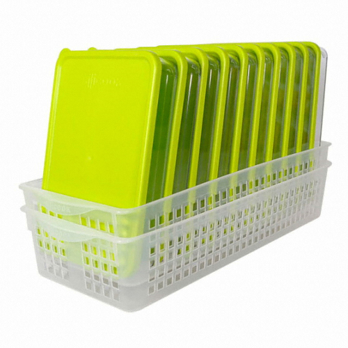 실리쿡 ㅤ컬러 납작2호 트레이세트_이미지