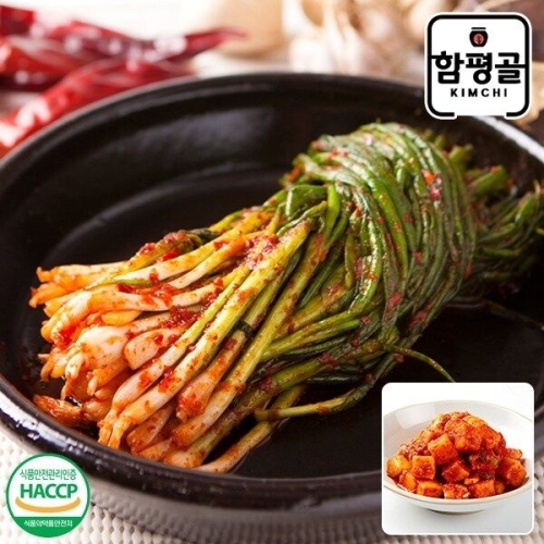  함평골김치 감칠맛이 풍부한 전라도 파김치 1kg+깍두기 1kg [1개]