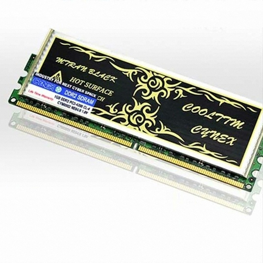 CYNEX DDR2-533 엠트란 블랙 (1GB)_이미지