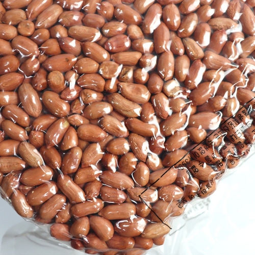 모든반찬 볶음땅콩 3.75kg 1개