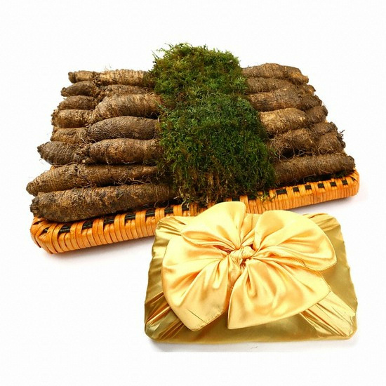 Ⱦ���λ￵�����չ��� �Ͻ��� Ⱦ������ ������Ʈ 4ȣ 1.3kg