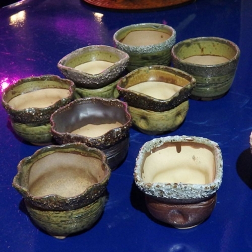 코모가든 미니 다육이 화분 1호  8-9cm/랜덤이미지입니다. 누르면 해당 게시물로 새창이동합니다.