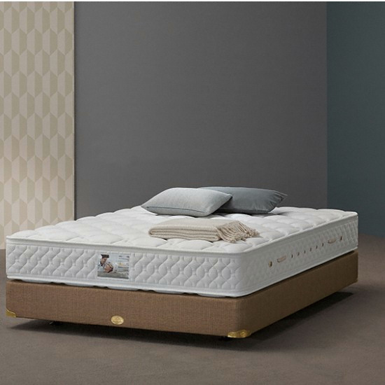 ���̽�ħ�� AT (ACE TIME) ����Ʈ���� S