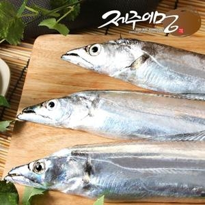 제주어멍 제주은갈치 230g (6개)