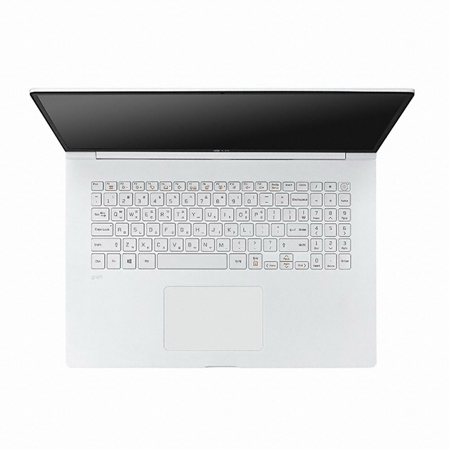 LG전자 2019 그램 17Z990-VA76K (SSD 1TB + SSD 512GB)_이미지