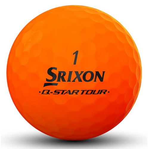 ���� ������ 2024 Q-STAR ���� ����̵� ���ο�+������