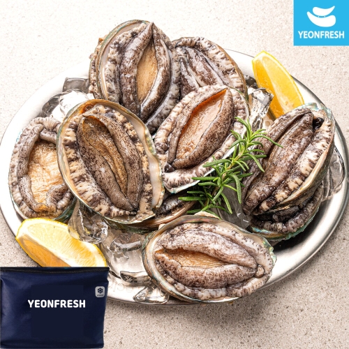 온프레시 완도활전복 프리미엄 선물세트 I 25마리 (1개)