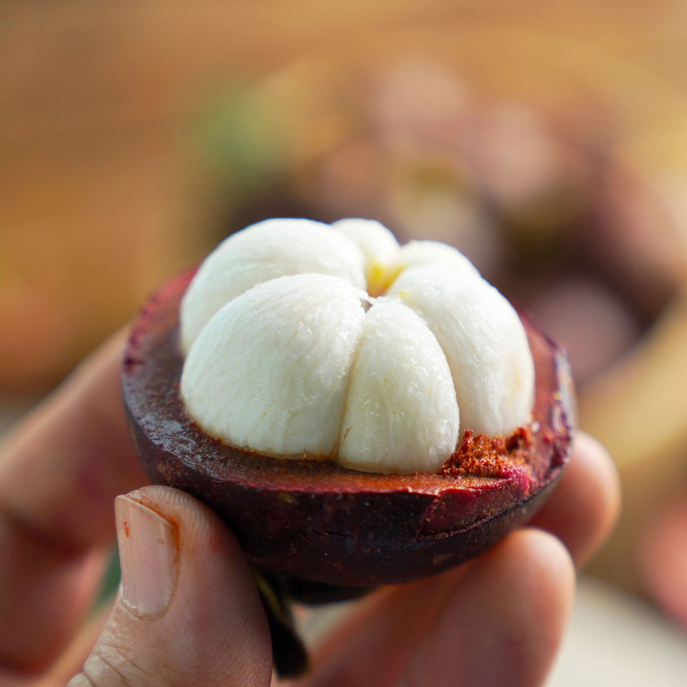 ��ǰ �� �̹���