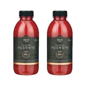 과일듬뿍 딸기청 580g x2