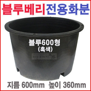 블루베리600형 흑색 /대형/도로/고무/플라스틱화분