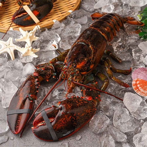 사과랑 자연맛남 수율보장 항공직송 활랍스터 600g내외 1마리_이미지