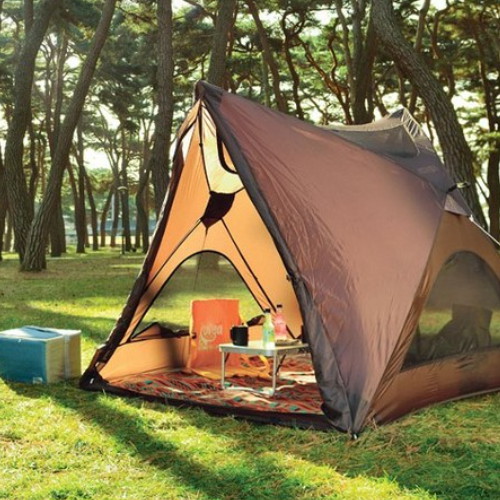 코베아 팝 쉐이드_이미지