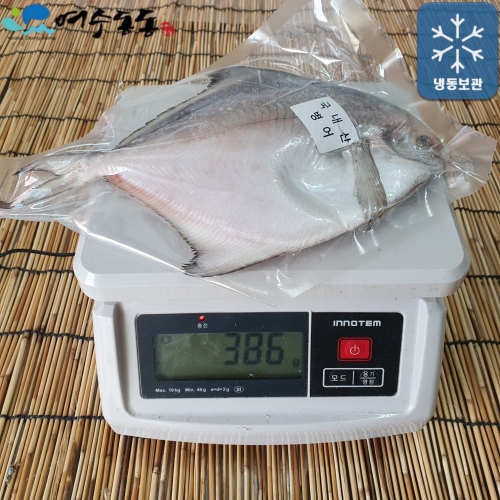 손질 여수 특대병어 이상 / 28cm 내외 1마리 100%국내산 와사비 믹스 간장 증정 300g