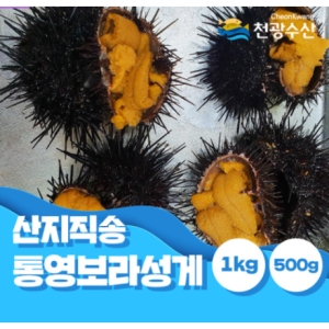 천광수산  통영 보라 성게알 500g [1개] 상품이미지