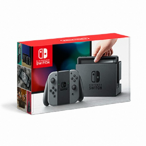 닌텐도 스위치 그레이_이미지