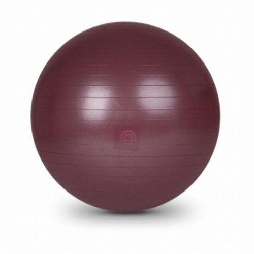 아따산 카르마 프리미엄 짐볼 65cm_이미지